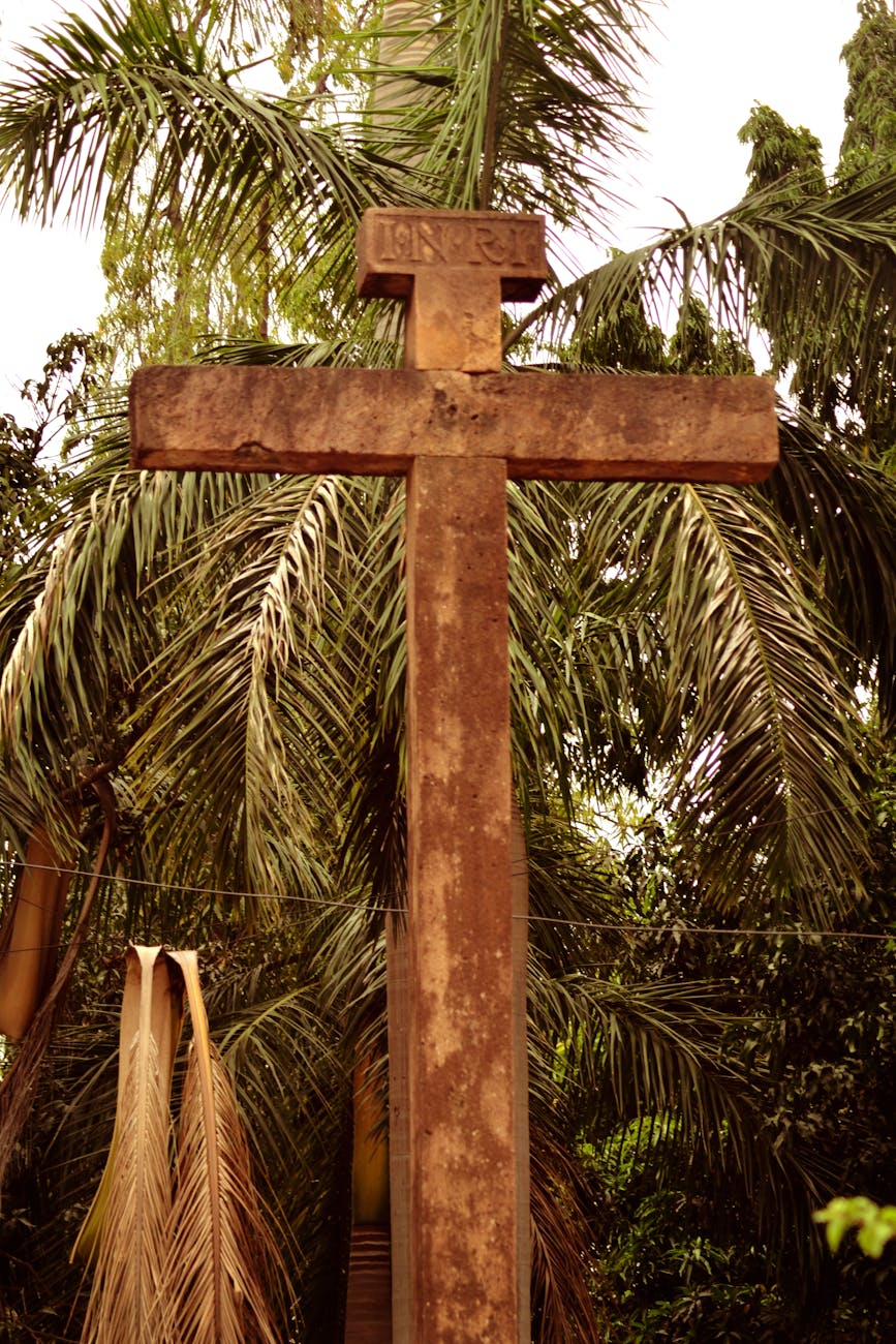 brown concrete cross near a palm tree