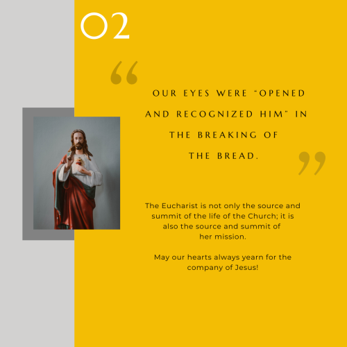 WMS 2023- Graphics Pope Message 2